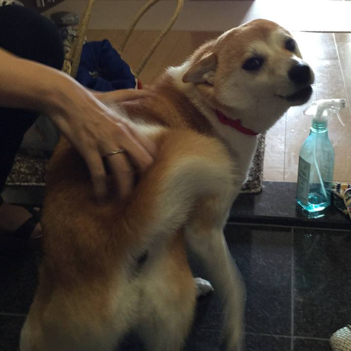 29bdce20 c9cc 47f1 a21a 6b1be29bffd1