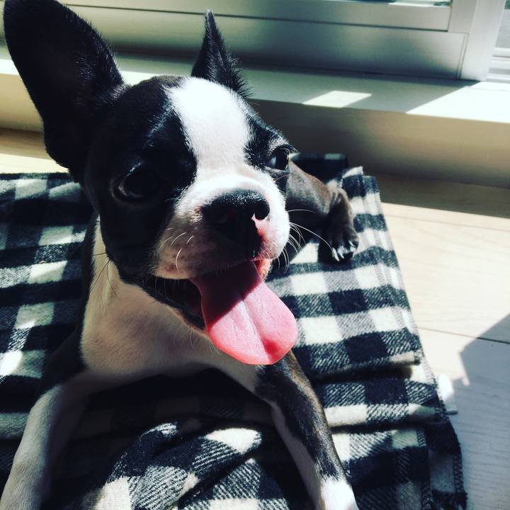 29bde1f2 1ea5 4472 9fb0 ac6f5edf4f4e