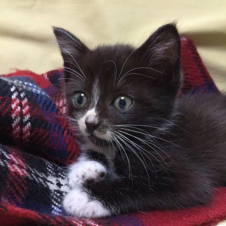 29be8674 7f3a 477b b36d a0f55228e3cf