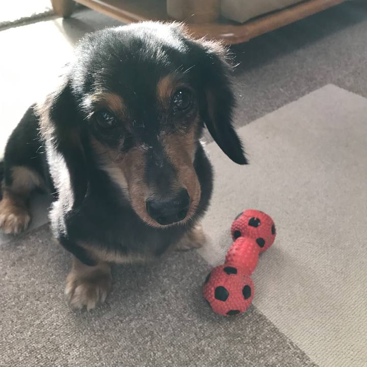 29bf0a7e 0118 4b9e ab5d e4999c102dad