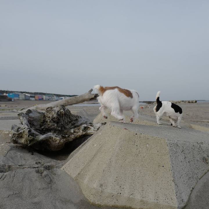 29bf1c63 ceda 4156 8ac8 e9ac02a7f17f