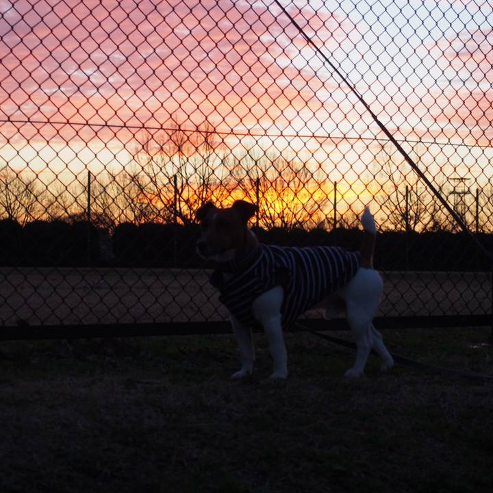 29bf38d4 ed00 43b2 ba0b ed461224f65b