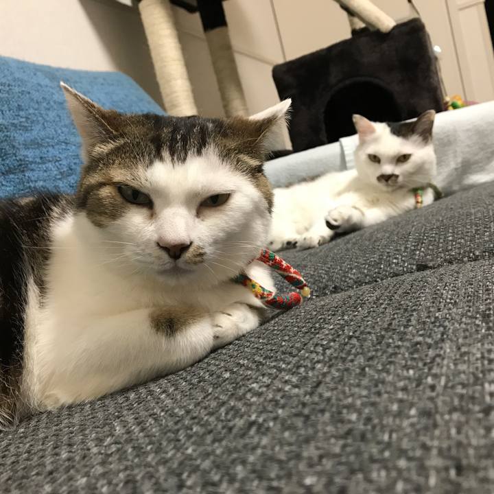 29bfbf71 3c26 42c4 ac7f 6d3ec95e608a