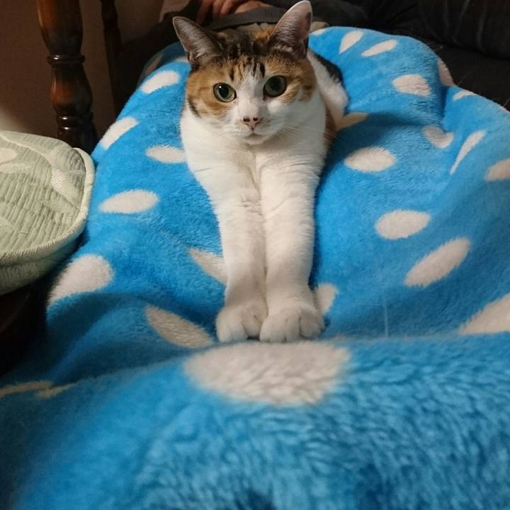 29c13cdf 90df 467a af4c 59cac94a01f9