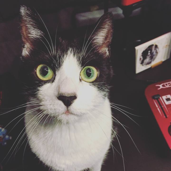 29c17675 2a2a 4376 aa23 e9b79e43b2b8