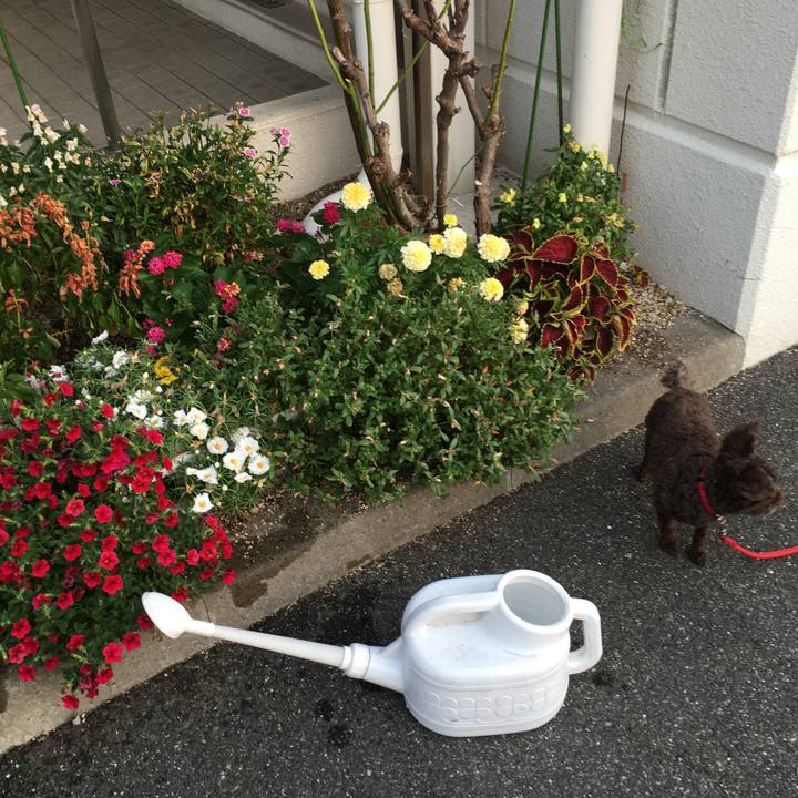 29c2599f c9b5 43e1 96c0 dea81caa859c