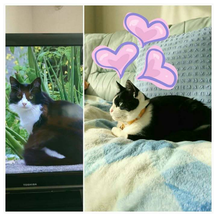 29c420bb 8212 4420 bb67 254d4ee1fd38