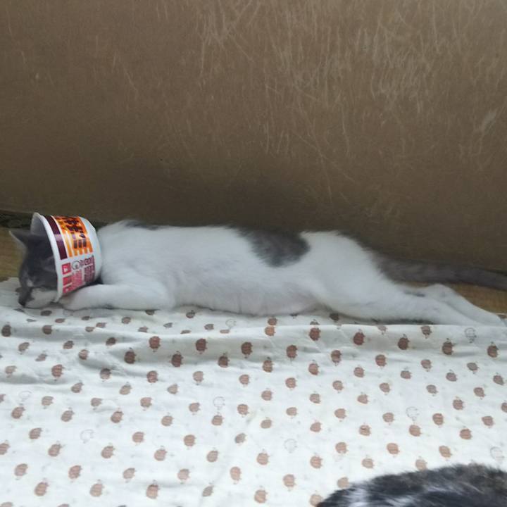 29c42bd7 c18e 48bf 98f8 c38916b81494