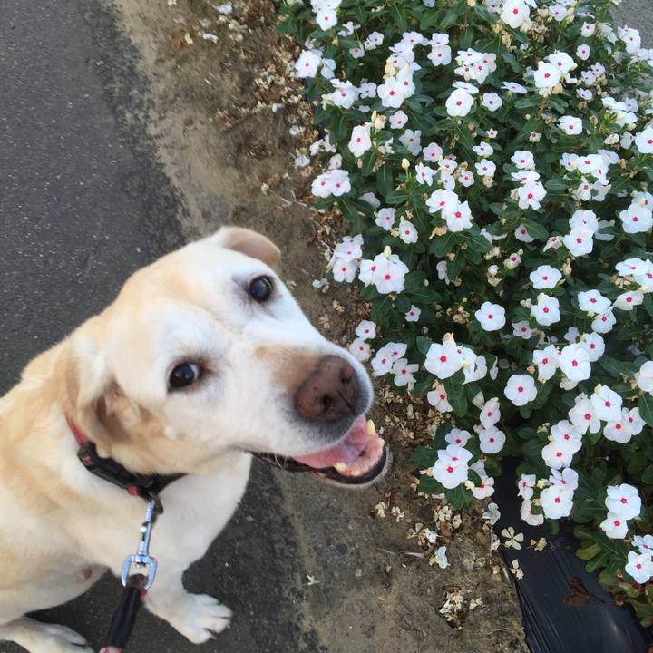 29c4369a 4ddb 4dac 9242 5a3c24487b90