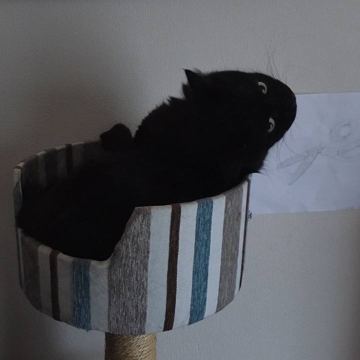 29c44a16 3f88 461d 8199 adb2330a59eb