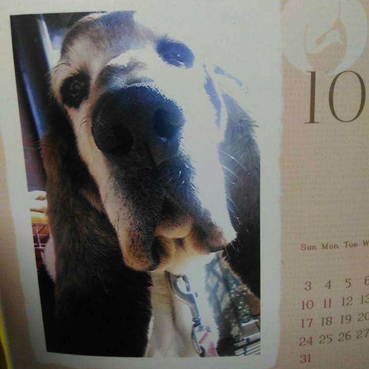 29c52238 b7f3 4c82 baba 35f6dd3ca741