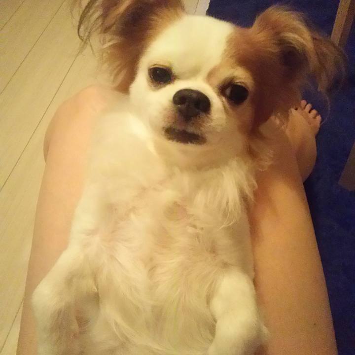 29c62835 86c8 49d2 ab65 3c036f68a7dc