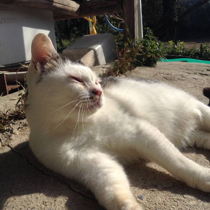 29c68ae1 0c24 47c0 94b3 01159d155b61