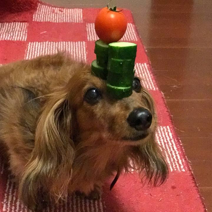 29c6e188 b281 4509 8fbc bf9383afb67a