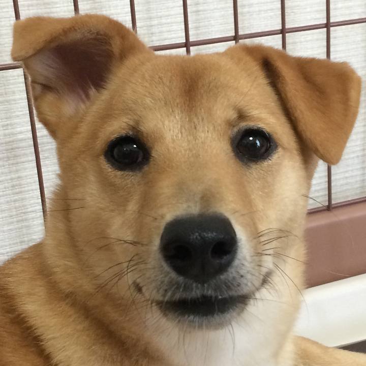 29c6e23c 7d4e 4c13 9ab3 14f6e1705f5b