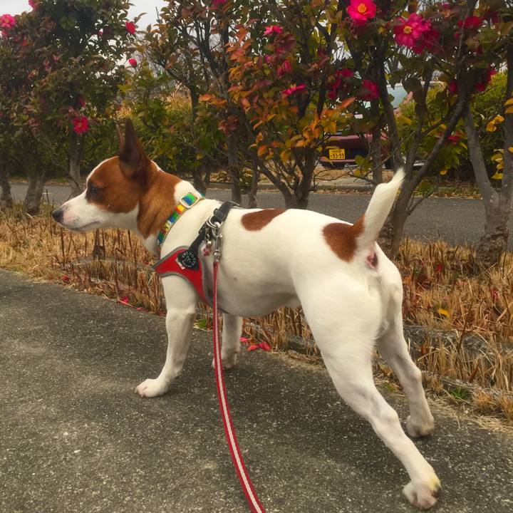 29c6eebb eb45 4730 8d68 2ff610286cc7