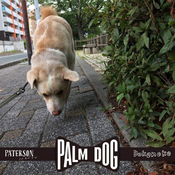 29c70cc3 f77c 42a1 b45f 2d063dfc97fa