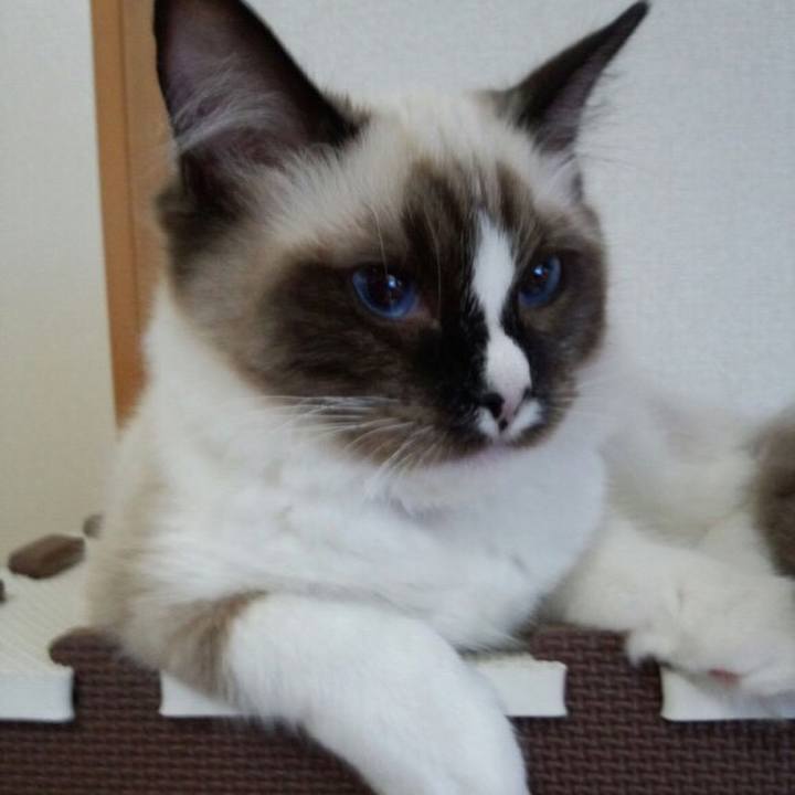 29c78265 ed69 4bee 9e60 c56691471a87