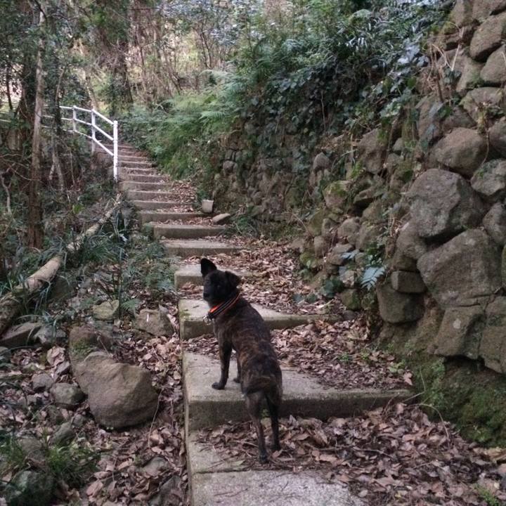 29c7e85c ea86 4fd0 a25d 79ebf1c0640c