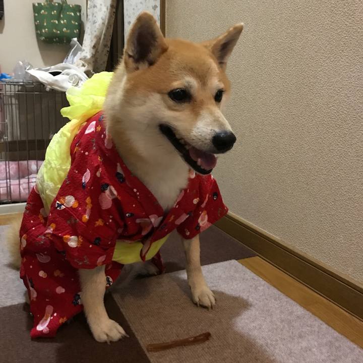 29c7fa41 b4a3 431d 8465 ba39486a5b06