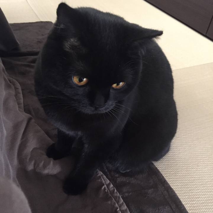 29c8314f 1312 471e 96f3 79226ec30b6c