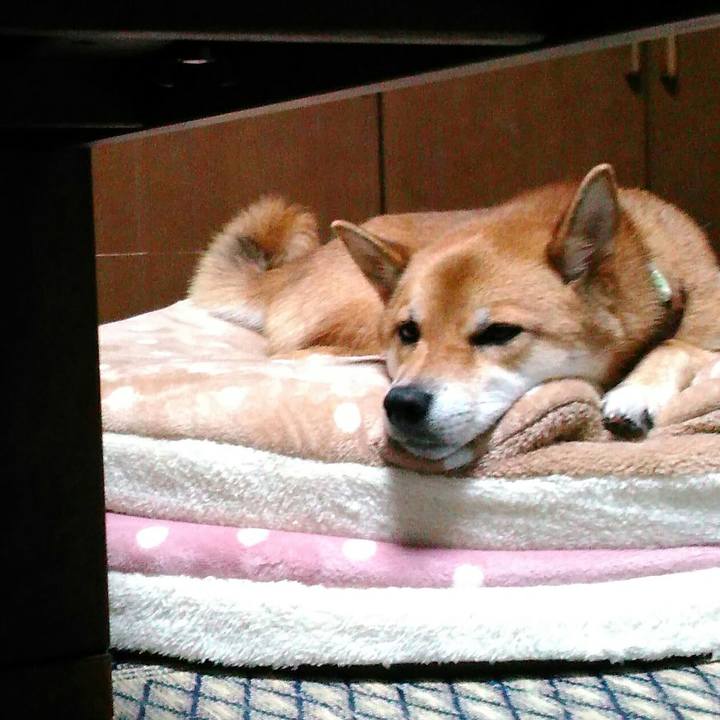 29c83378 f0e8 4dc8 8937 7d8bacb08c6e