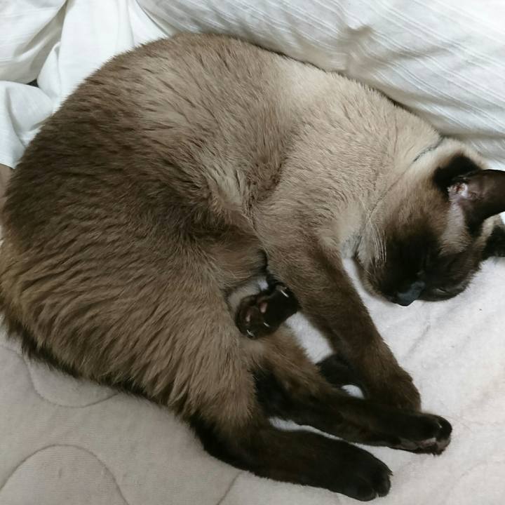 29c902f0 8cd8 4b81 af75 0bfac5097580