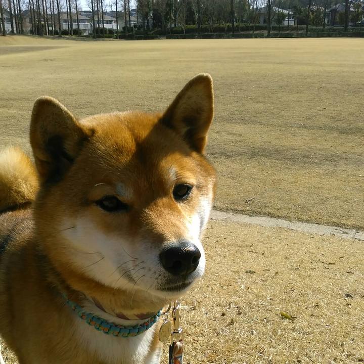 29c94f13 9276 47e9 a42c 1d219db748d6