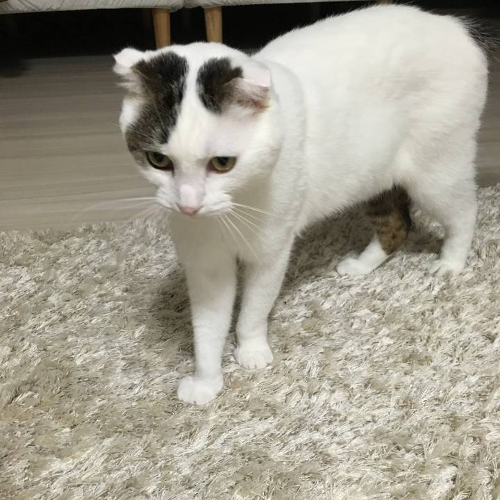 29c9bcba f805 47fe 8c64 f6aeb92f8fc8