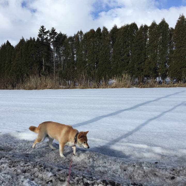 29c9ccff 9f54 4f49 ae8c f44d18671046