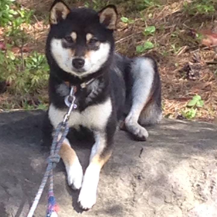 29c9f063 1ec0 4ae6 a618 6b522c84b0a7