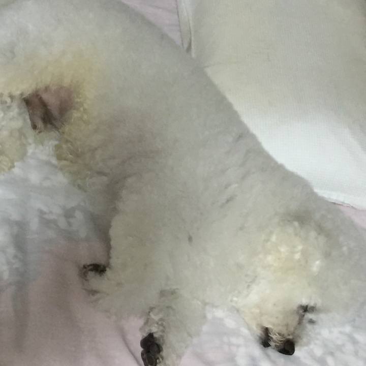 29ca08e5 9d5b 44eb 9b70 2c49a1e51329