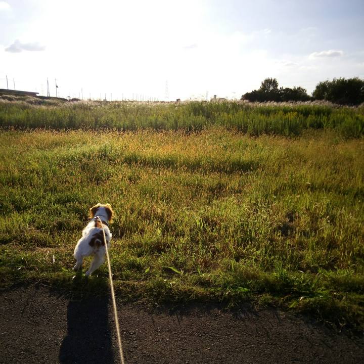 29cb1270 0ba7 4198 825d c7fd9e3b3f99