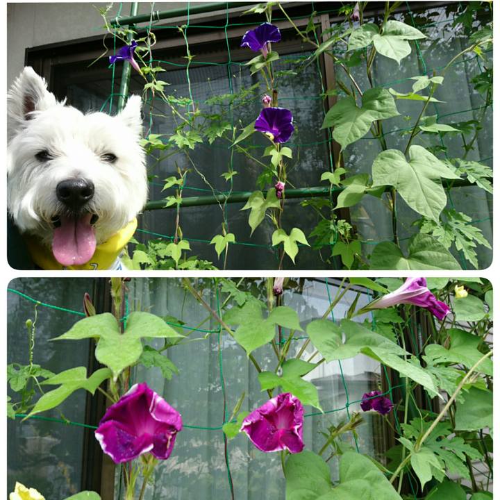 29cb3324 95b8 4fc0 a01d 47dccf9d58cf