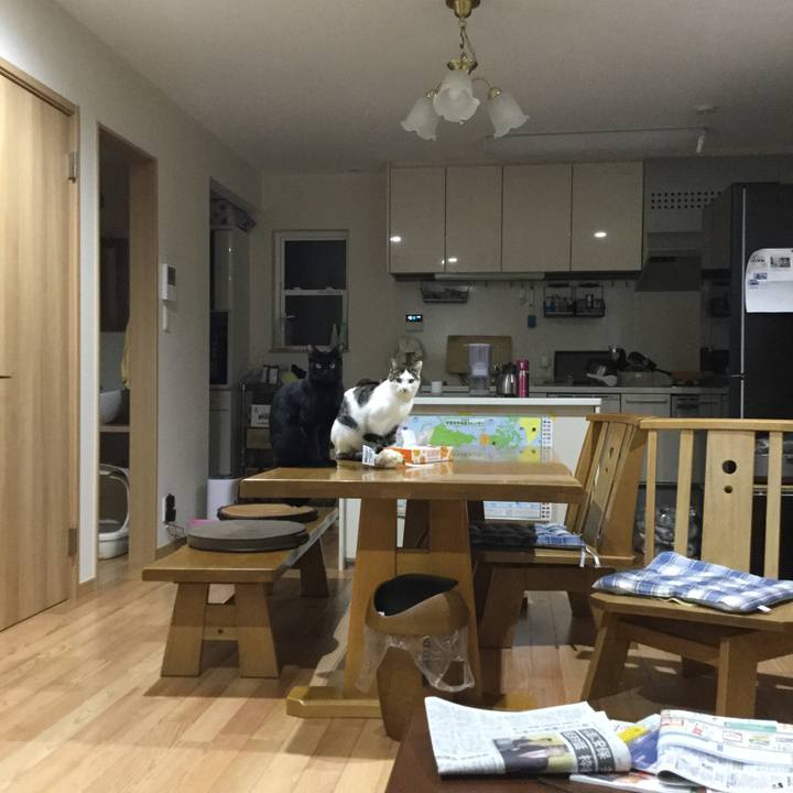 29cb4d6f 9be3 4f78 8abc a9aa898cdcf9