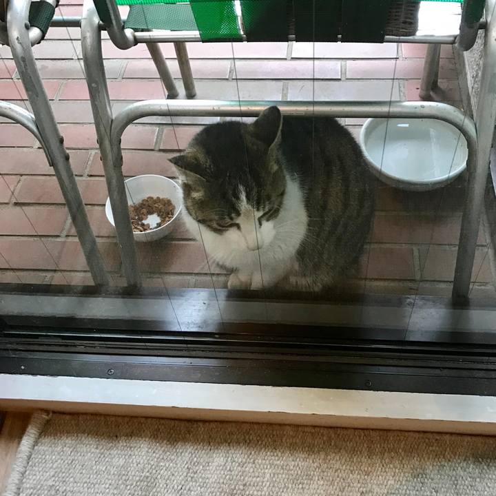 29cb607b e888 4512 a9d5 80d713df4edf