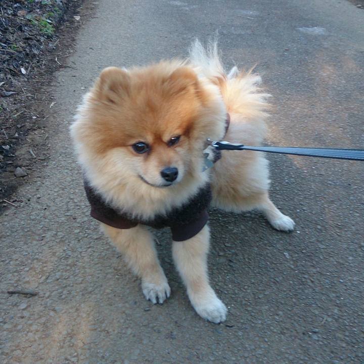 29cb6f1d 7809 437f acc4 4a73da92f0f7