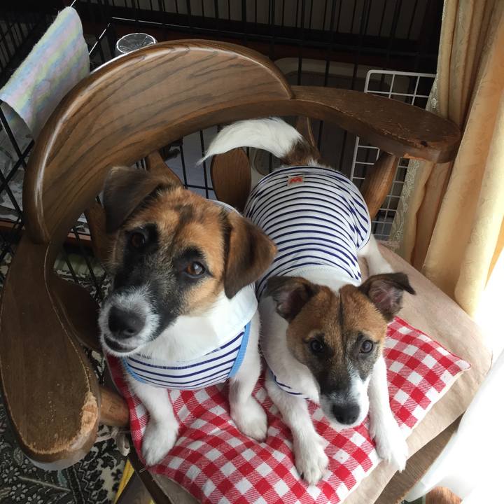 29cbaba4 5187 4c72 817f 6518b7556a8a