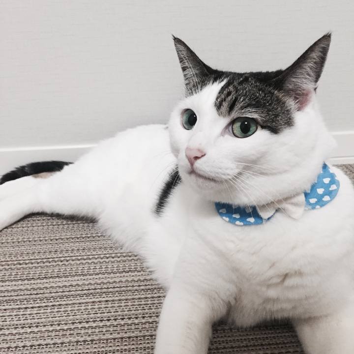 29cbf5a1 66da 489a 9c39 511e020310f6