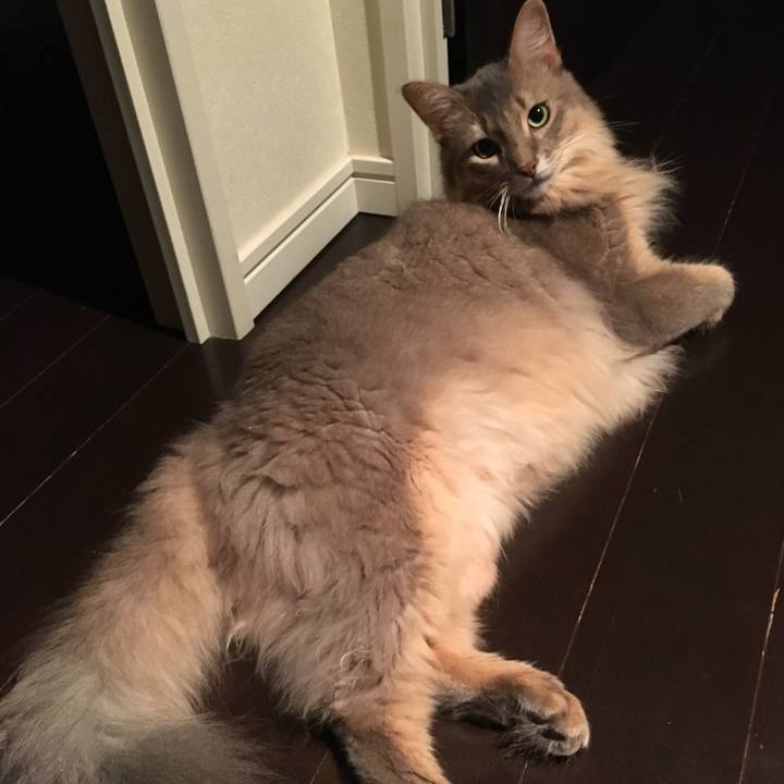 29cdc6ae 4109 4512 b2ec 100e1f1fd45d