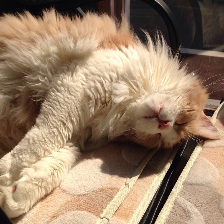 29cdfe53 001d 4814 88f8 bef997941da8