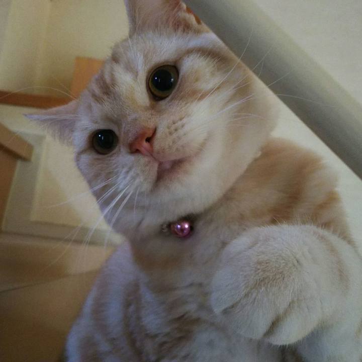 29ce3e0f e46f 4463 91b8 a20aac81debf