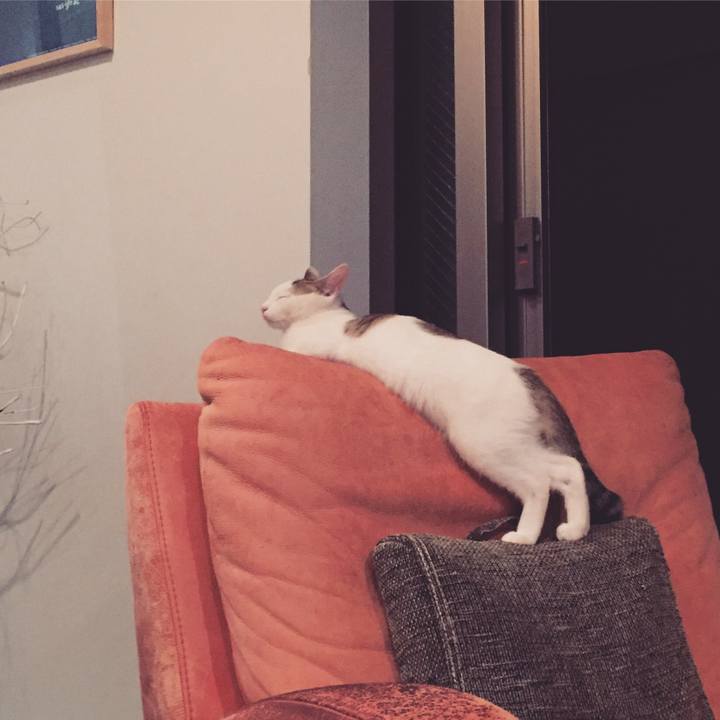 29ceab5f df9c 47ad bcd4 e4ccd433a613