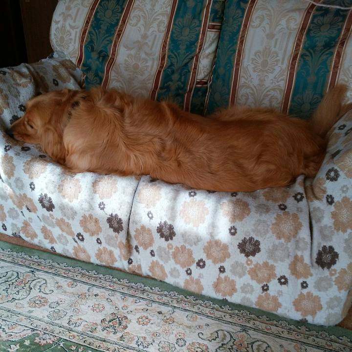 29cee722 ee89 417c bbdd fbdd6c13981b