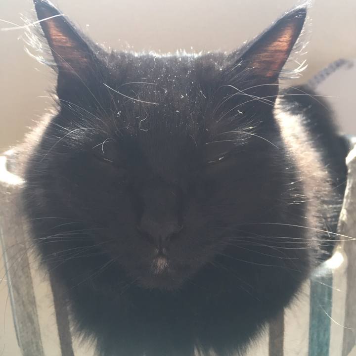 29cf8b6c 8a4f 4f58 8ffb ee7ddceb8a93