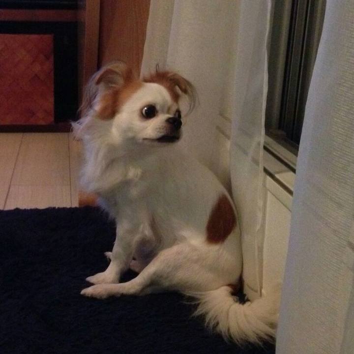 29d01e7e b0ac 4220 b0ce 90afc5a5f443