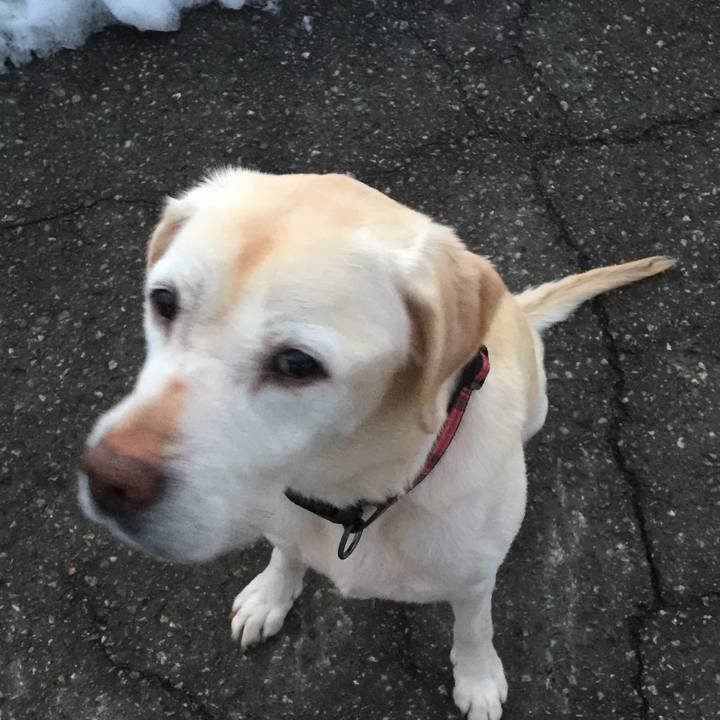 29d08970 44f3 46bb a9c8 1f78fa89a55b