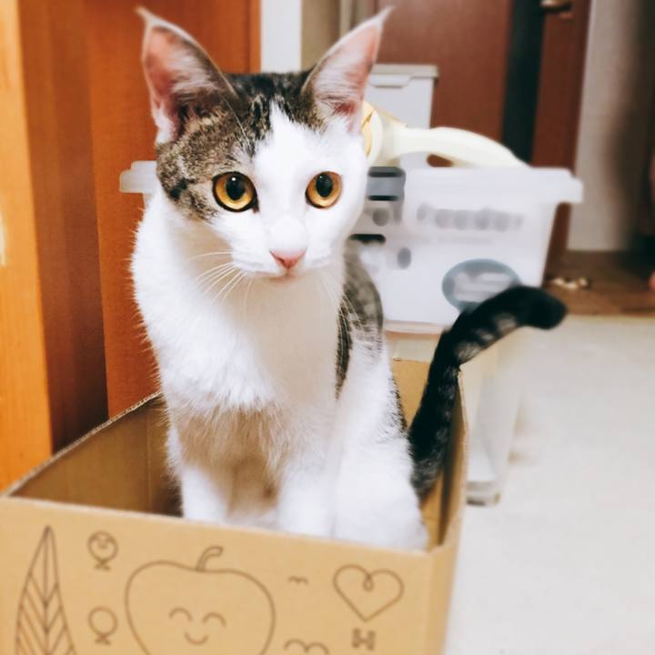 29d1433e adb3 4611 8eef 97ca3cc5e9f4