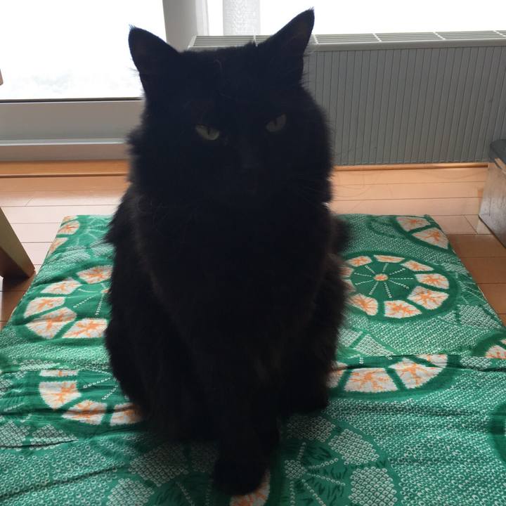 29d14e7e ea7b 411e a84d 84fa851d24a2