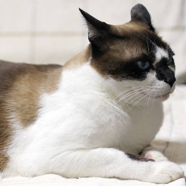 29d27198 cab0 483f ad46 02ed0c5733aa